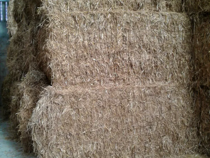 50 Bales Baled Straw (Wheat) SellMyLivestock The Online Livestock