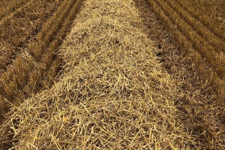 60 Bales Baled Straw (Wheat) | SellMyLivestock - The Online Livestock ...