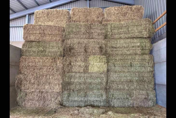 300 Bales Hay (unwrapped) 