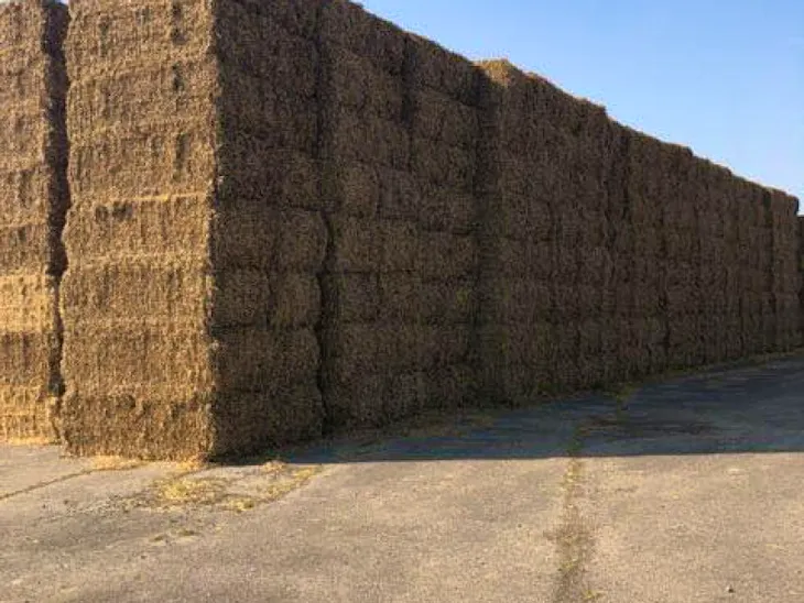 1500 Bales Baled Straw (Wheat) SellMyLivestock The Online Livestock