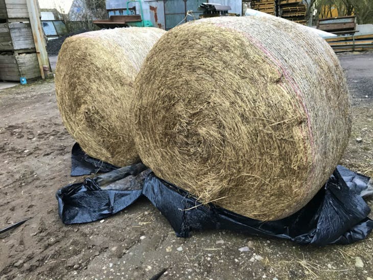 20 Bales Haylage SellMyLivestock The Online Livestock Marketplace