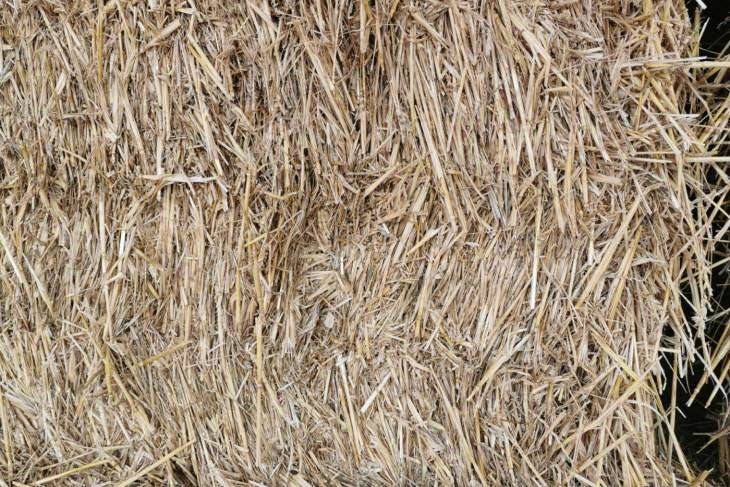 100 Bales Baled Straw (Wheat) | SellMyLivestock - The Online Livestock ...