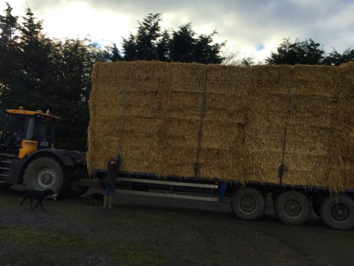 300t Baled Straw SellMyLivestock The Online Livestock Marketplace