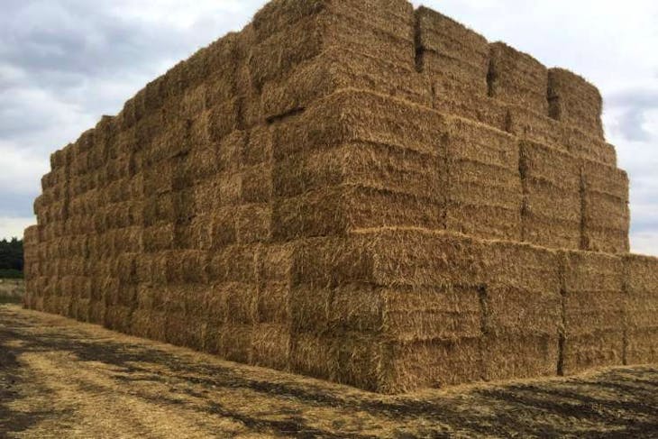 700-bales-baled-straw-wheat-sellmylivestock-the-online-livestock