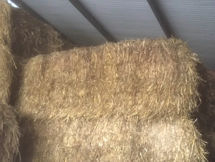 70 Bales Baled Straw (Wheat) SellMyLivestock The Online Livestock