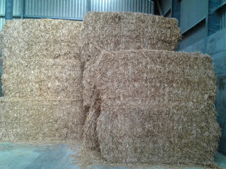 50 Bales Baled Straw (Wheat) SellMyLivestock The Online Livestock