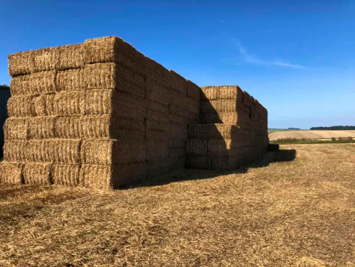 500 Bales Baled Straw (Wheat) SellMyLivestock The Online Livestock
