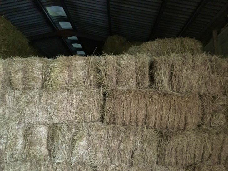 200 Bales Baled Straw (Wheat) SellMyLivestock The Online Livestock