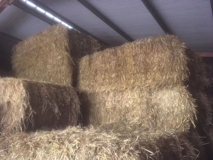 70 Bales Baled Straw (Wheat) SellMyLivestock The Online Livestock