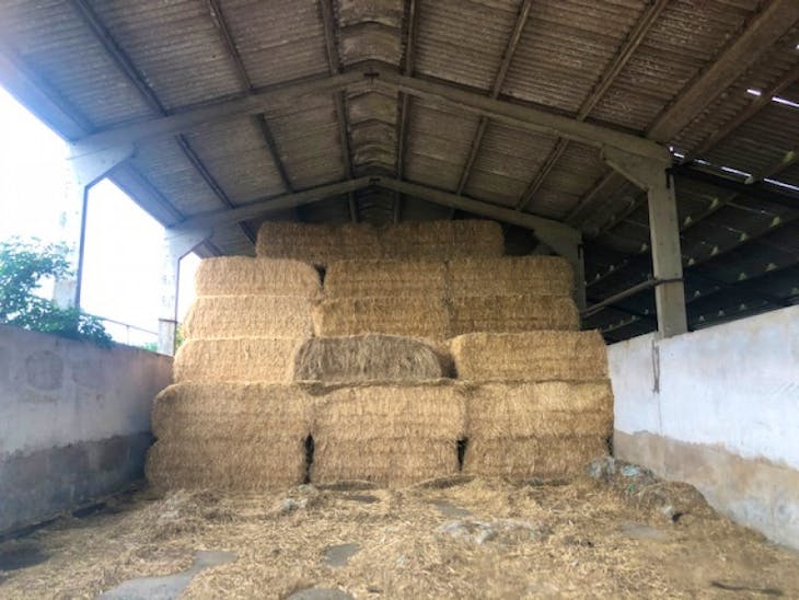 80 Bales Baled Straw (Barley) SellMyLivestock The Online Livestock Marketplace